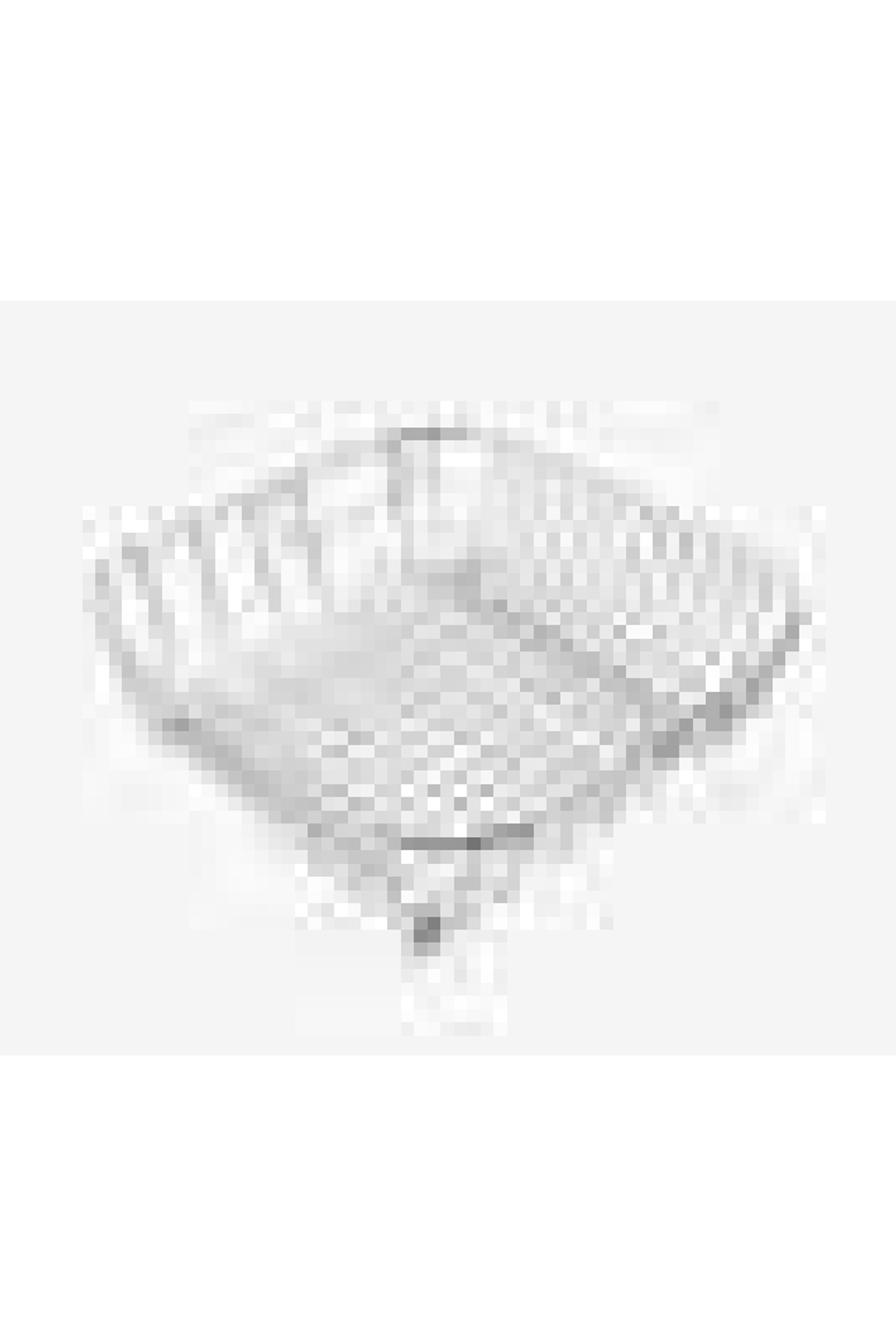 Pyramis 525004001 Geschirrkorb Edelstahl